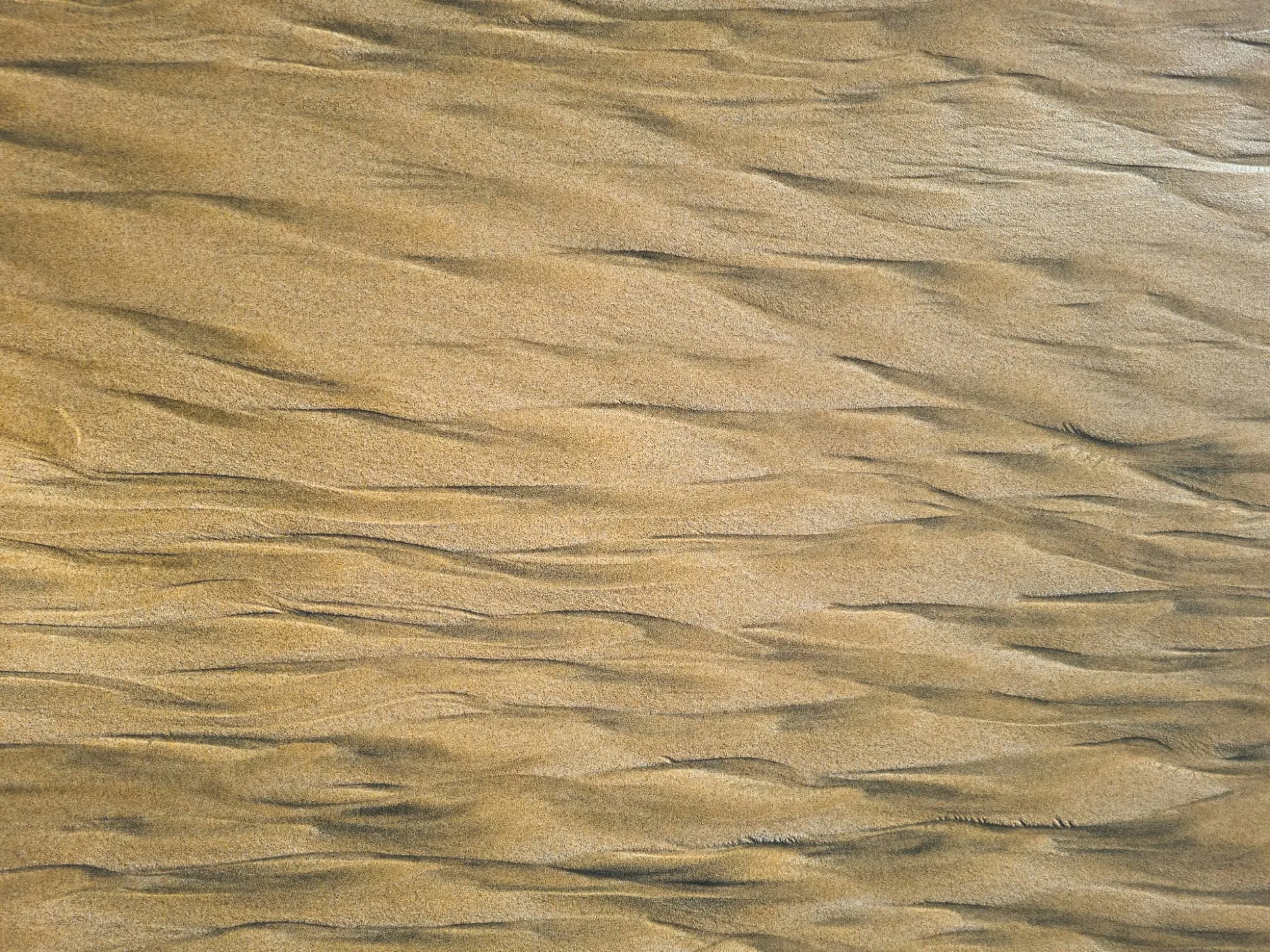 Golden sand ripples crossed by soft shadows in low sunlight