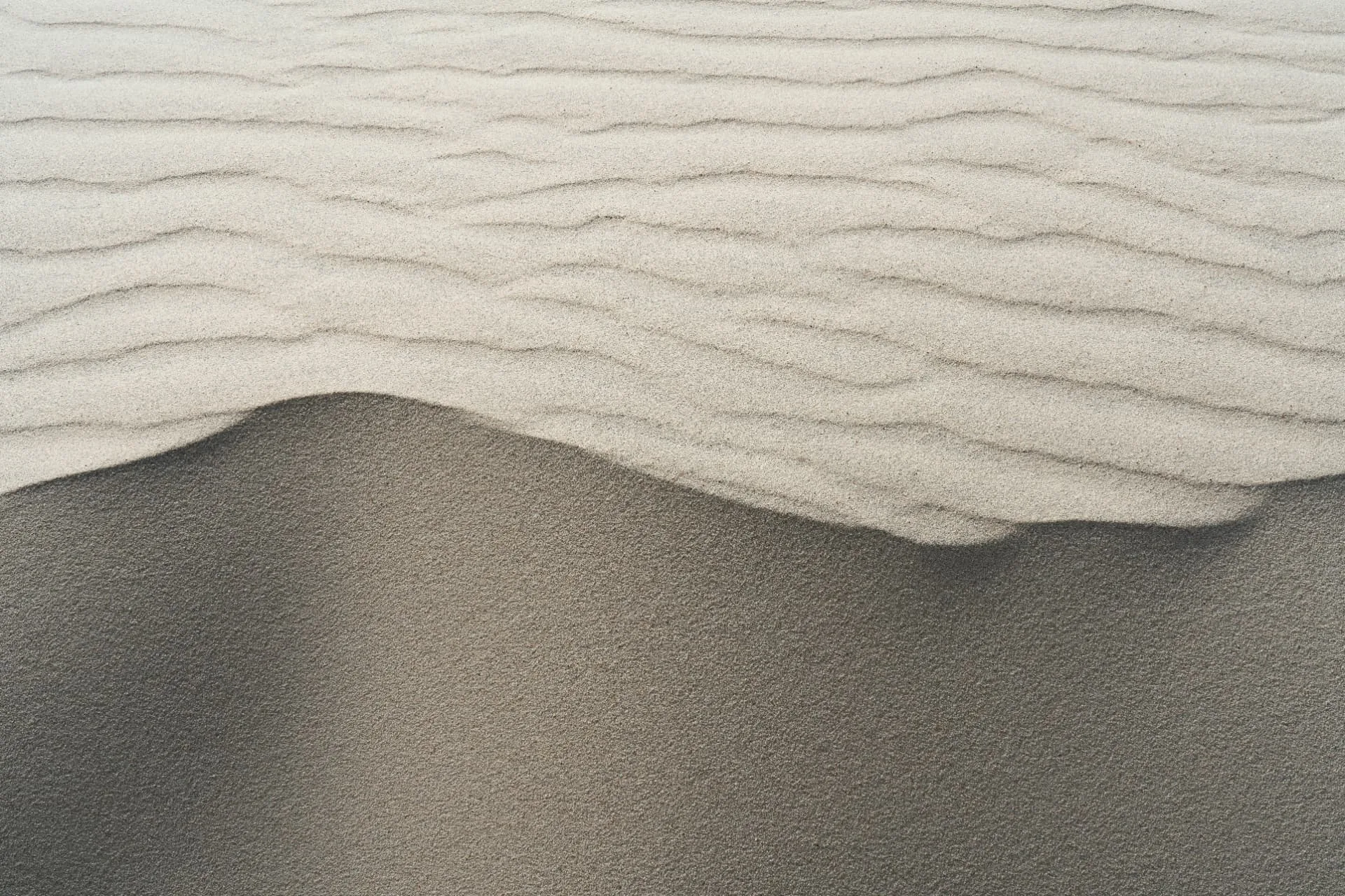Pale sand dune edge casting a soft shadow